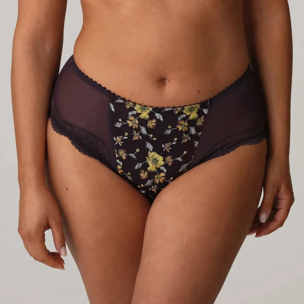 MALBA LIMITED EDITION high waisted briefs