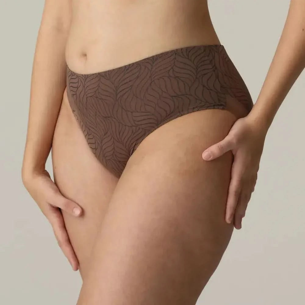 AJUSCO high waisted briefs