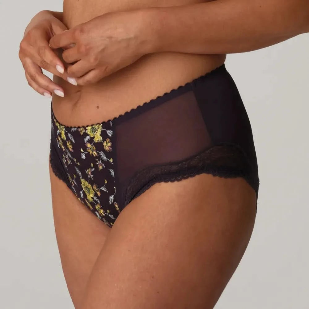MALBA LIMITED EDITION high waisted briefs