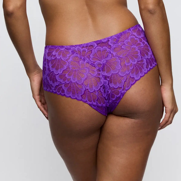 Culote semitransparente MOCUTO