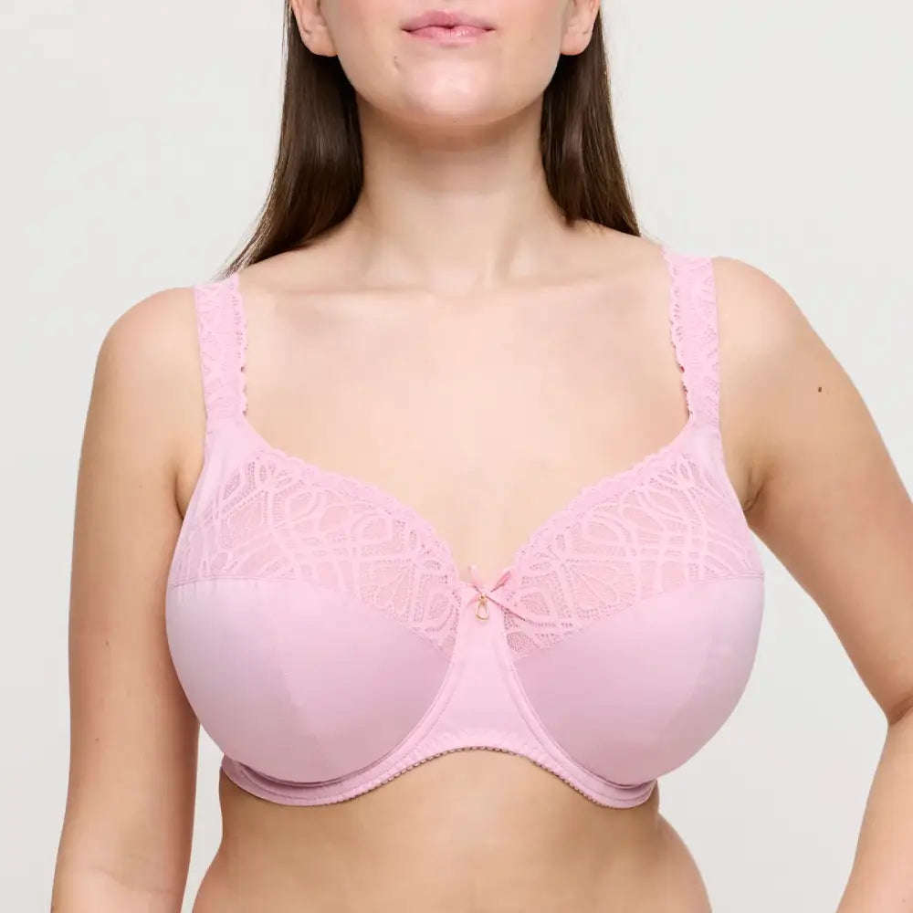 Sujetador ESPECIAL COPAS GRANDES con aros SALERNO ROSE CORSETERIA SINGUERLIN