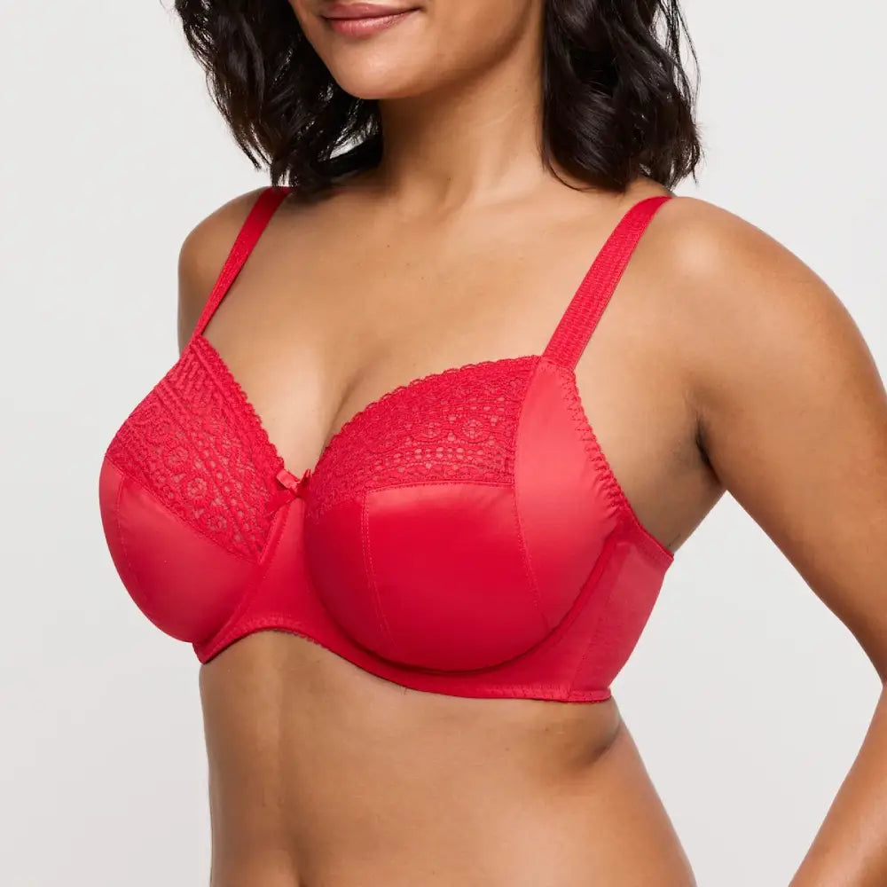 Sujetador reductor con aros Montara Red Corseteria Singuerlin 